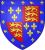 Arms of Edmund and Jasper Tudor